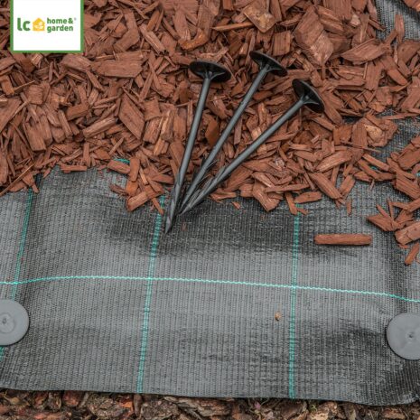 Agrotüske Agrotüske